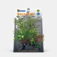 DECO PLANT CERATOPTERIS